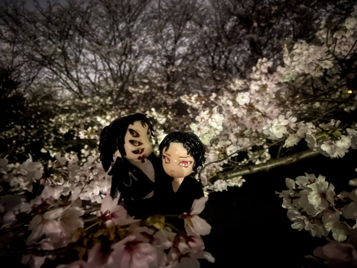 ﾁｷﾞﾚ🌙 tweet media