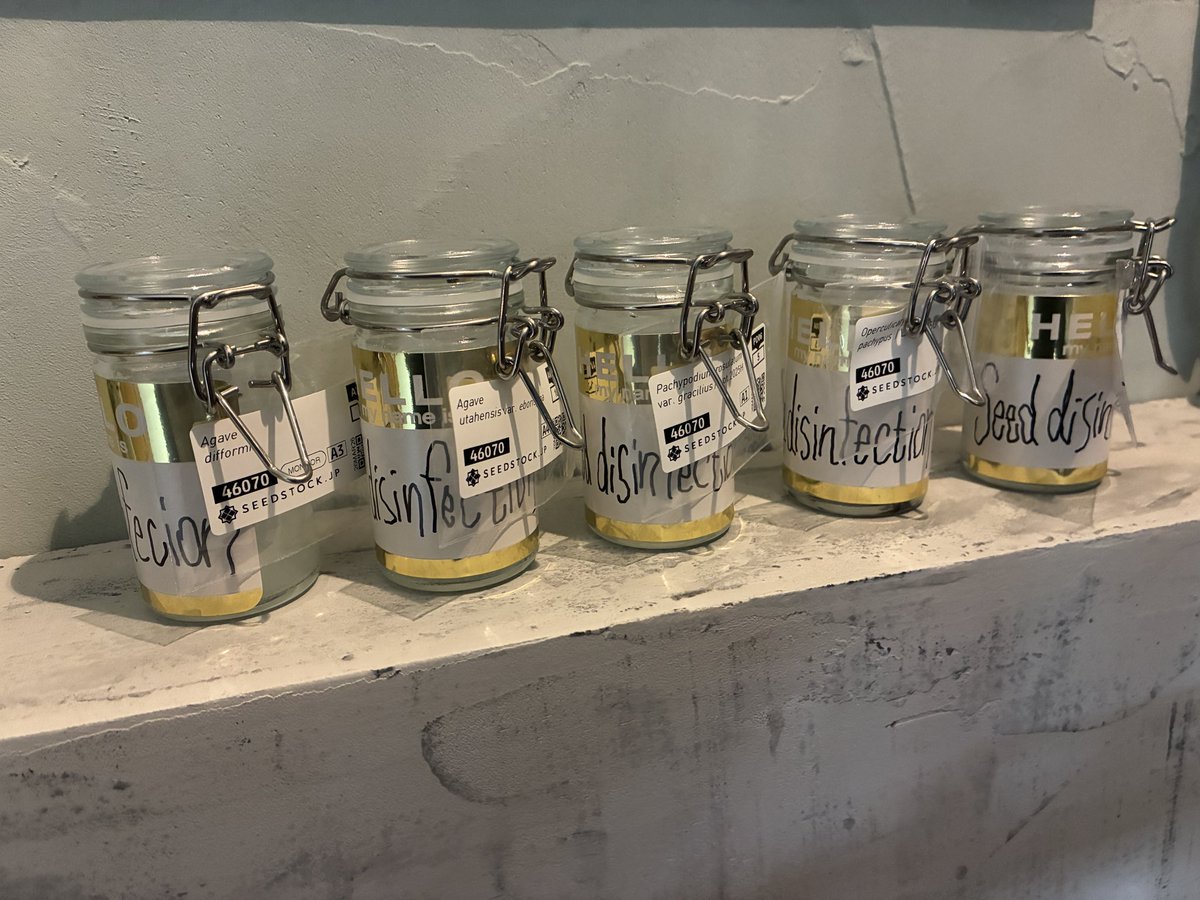 雪駄｛筆字　絵描き tweet media