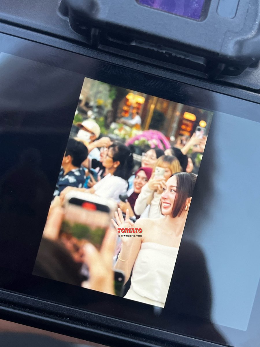 🍅 tomato tweet media