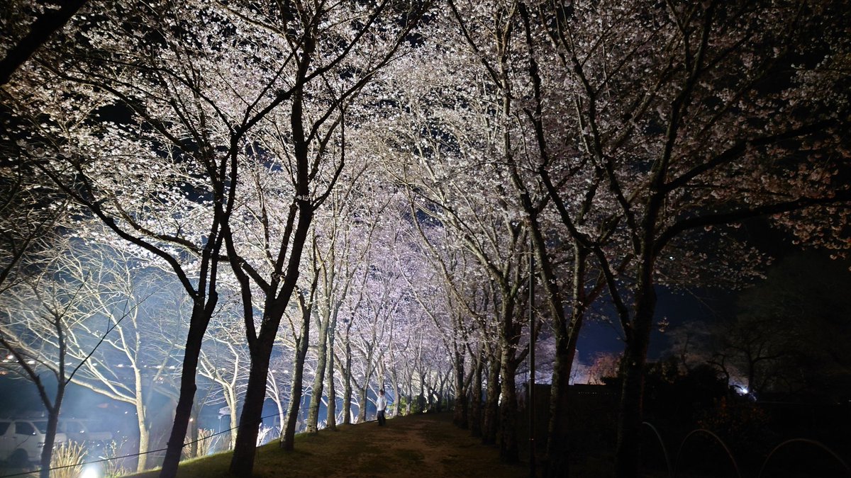 Kazu Camp⛺ tweet media