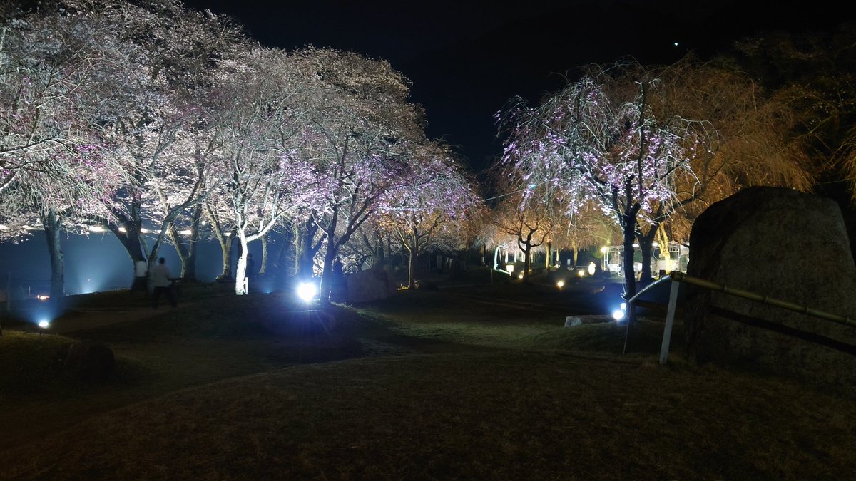 Kazu Camp⛺ tweet media