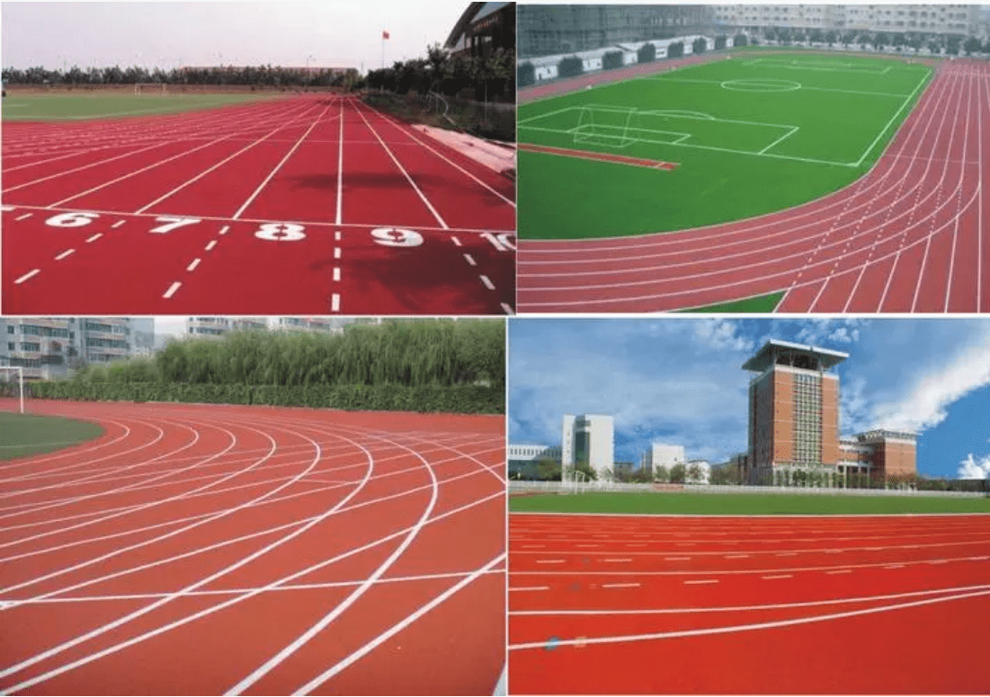 Valeria Accardi tweet media