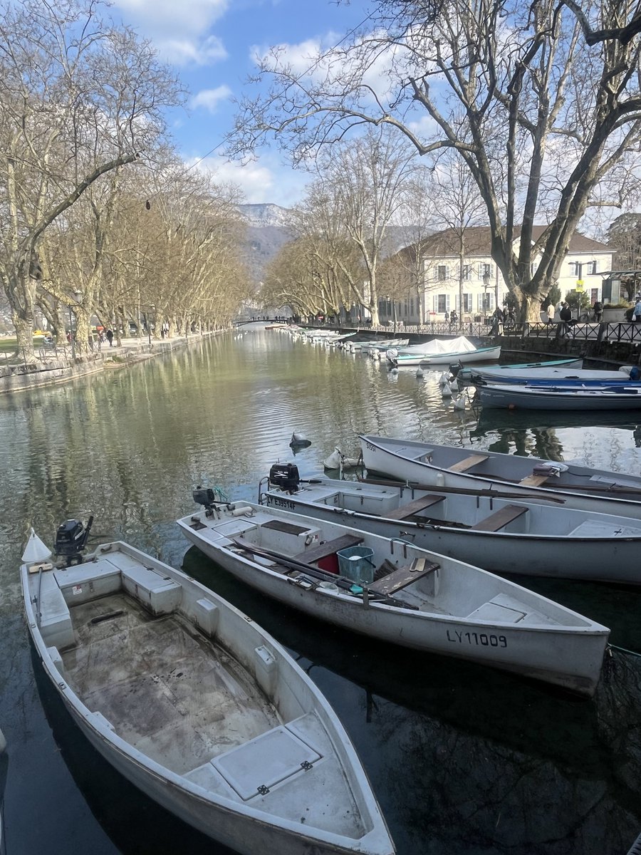 Jacques dallest tweet media