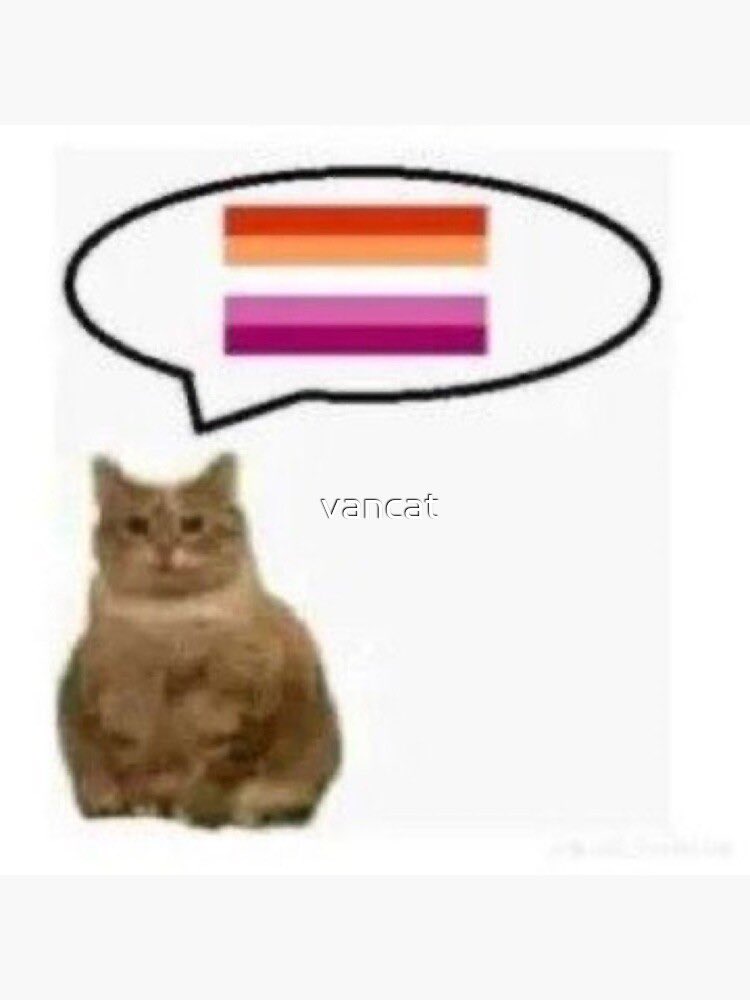 연구원 tweet media