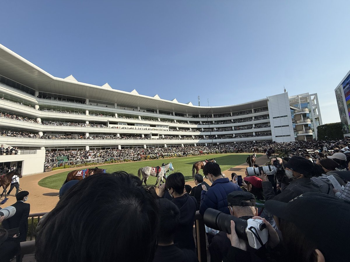 masa_rmn's tweet photo. 4月から千葉で社会人になります！
よろしくお願いします！

#千葉
#裏垢

さっそく中山競馬場に行って、推しの写真を撮ってきた https://t.co/WtWvtzCusW