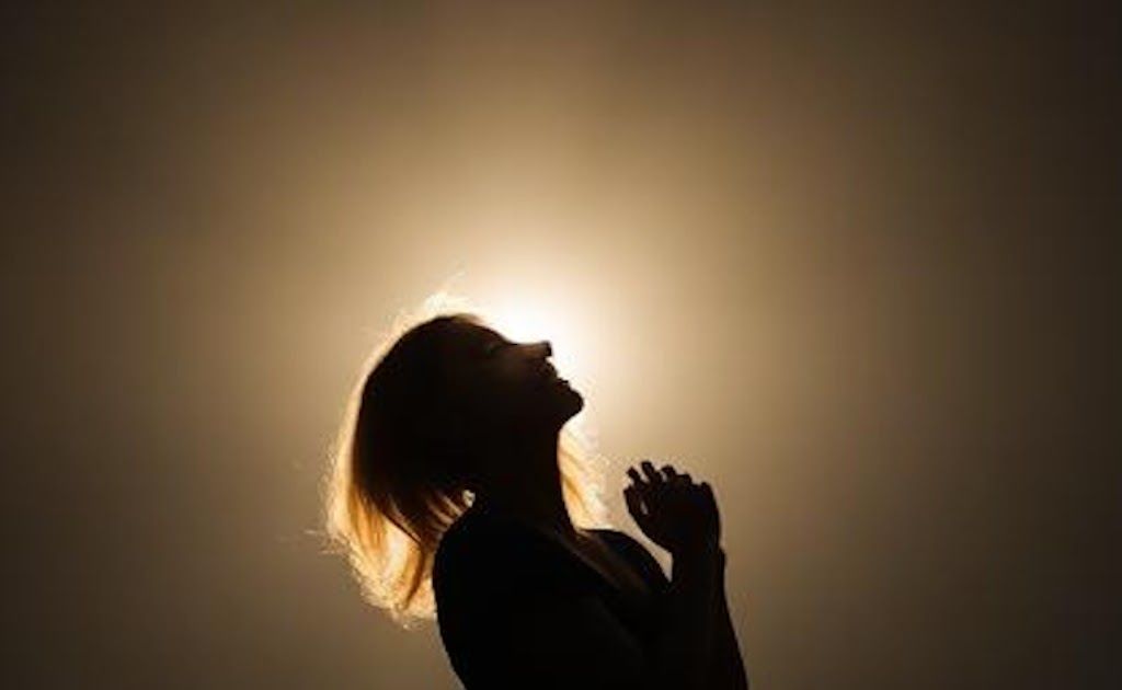 The 247 Catholic tweet media