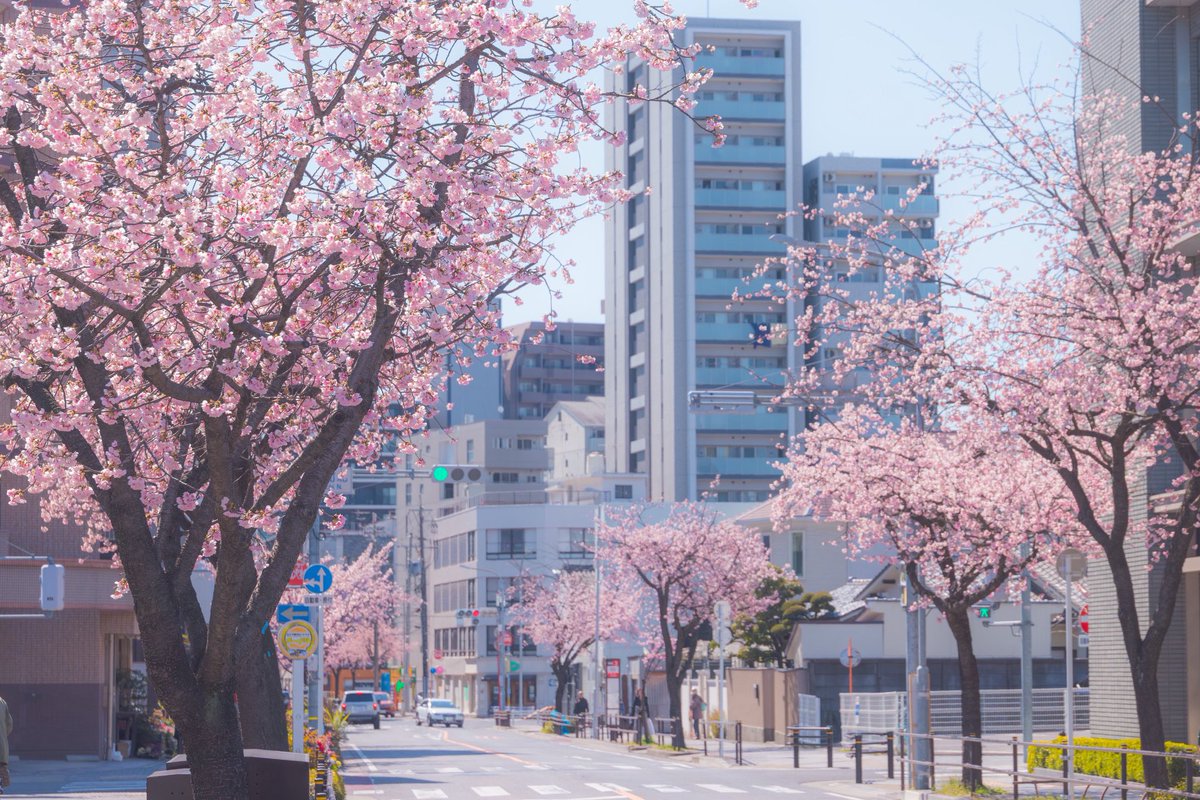 SoraHikari tweet media