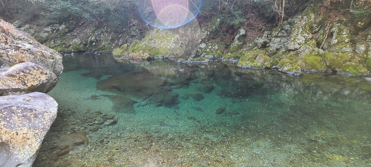 環(タマキ) tweet media