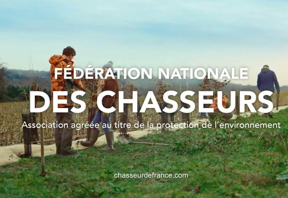 Gérard L tweet media