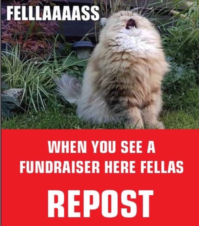 ClareBA (Amb Zaluzhnyi's Tea Lady) #NAFO #FELLA tweet media