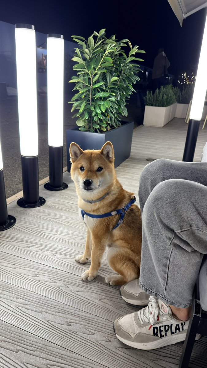 Umpa Lumpa tweet media