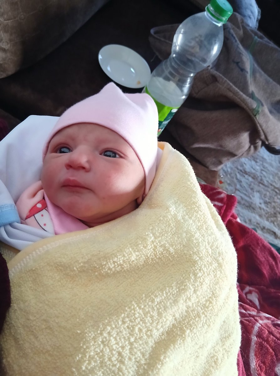 Cat lover tweet media