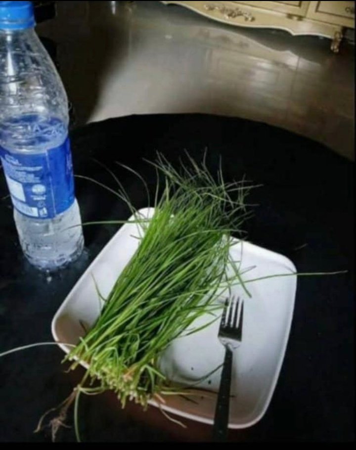 Helen crypt tweet media