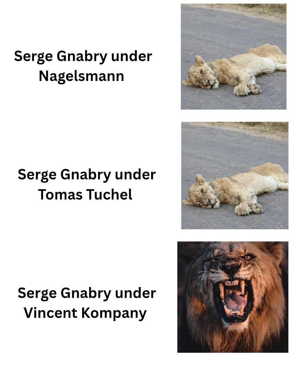 𝕂𝕖𝕟x𝕠🥷 tweet media