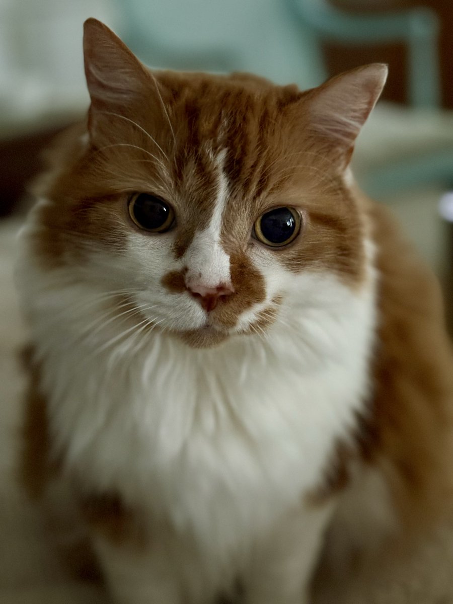 𝕃𝕖𝕤𝕝𝕚𝕖 🖼 tweet media