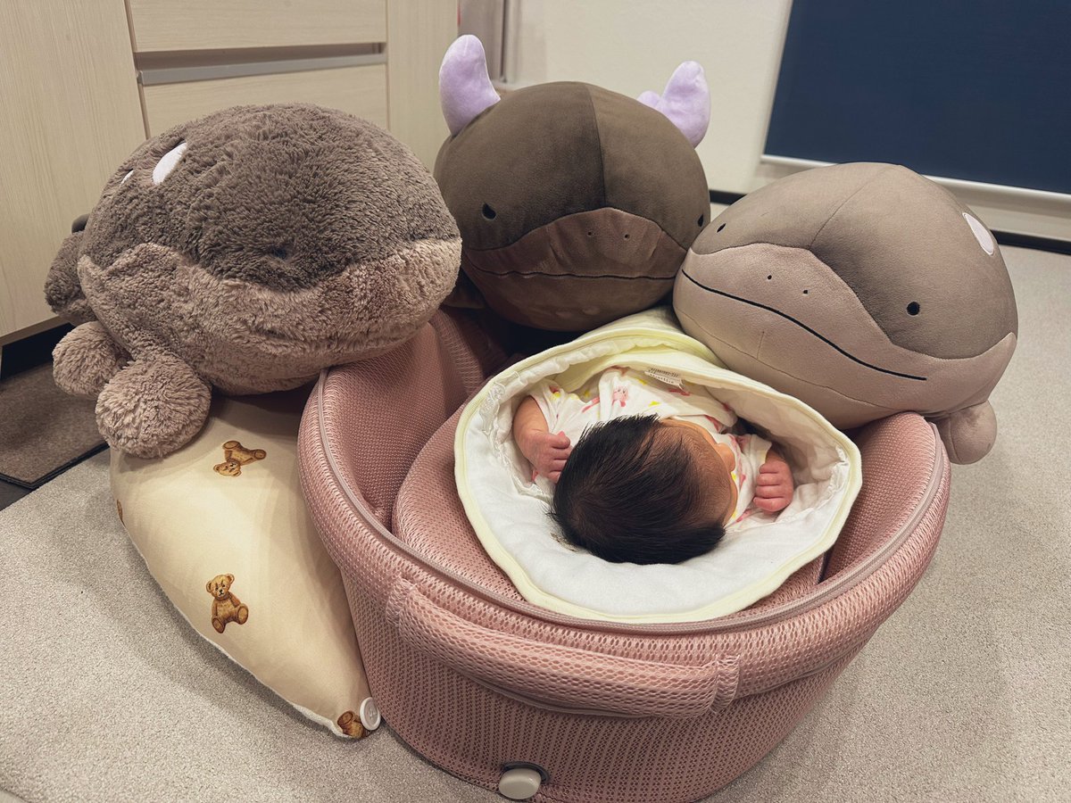 今日はオデ達で子守りをするどぉ〜|ω･)
(*⊃-⊂)ｲﾅｲ(*⊃-⊂)ｲﾅｲ〜オデェ( ᐛ )𐤔

#本日のドオー