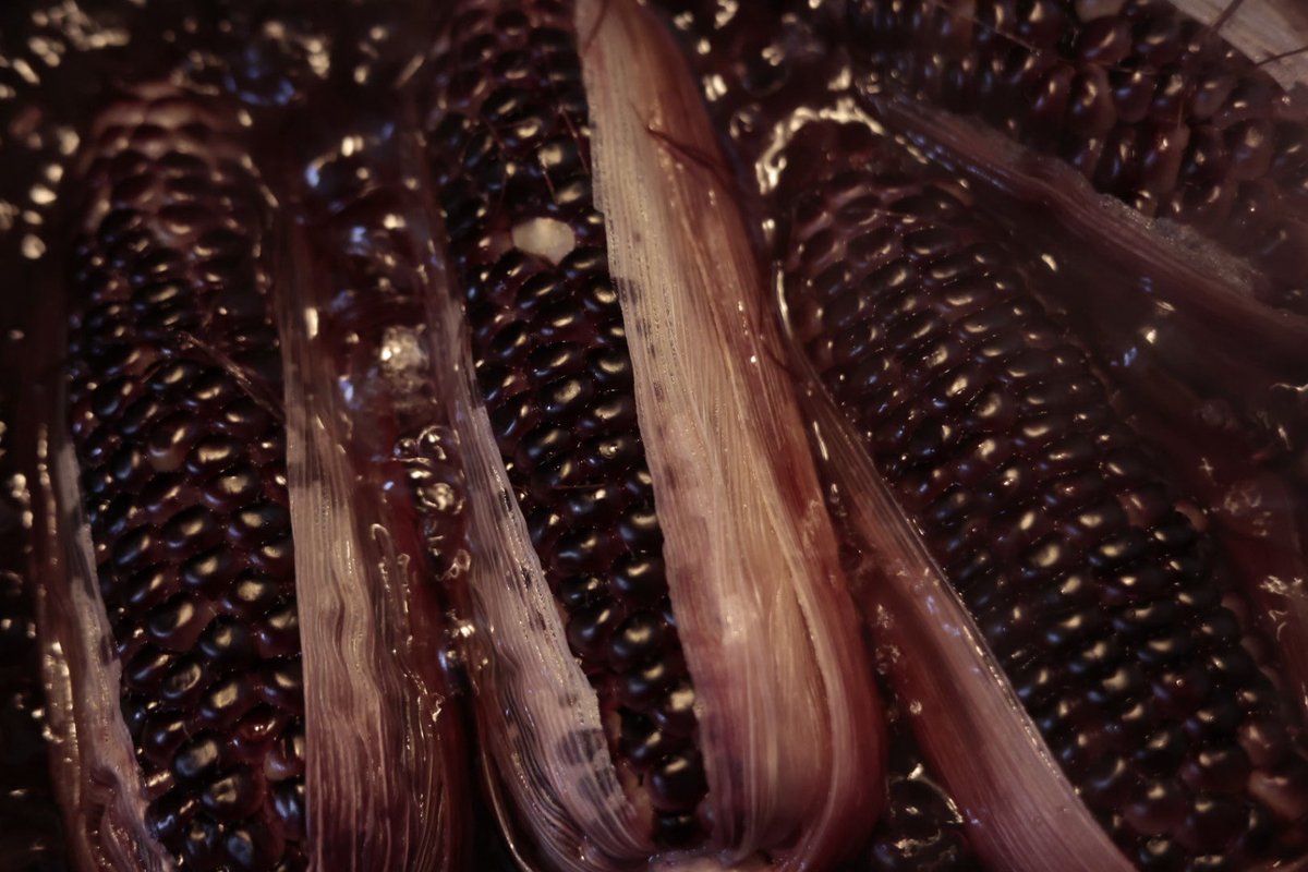 purple corn