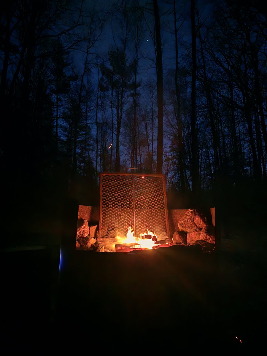 Emil MTO tweet media