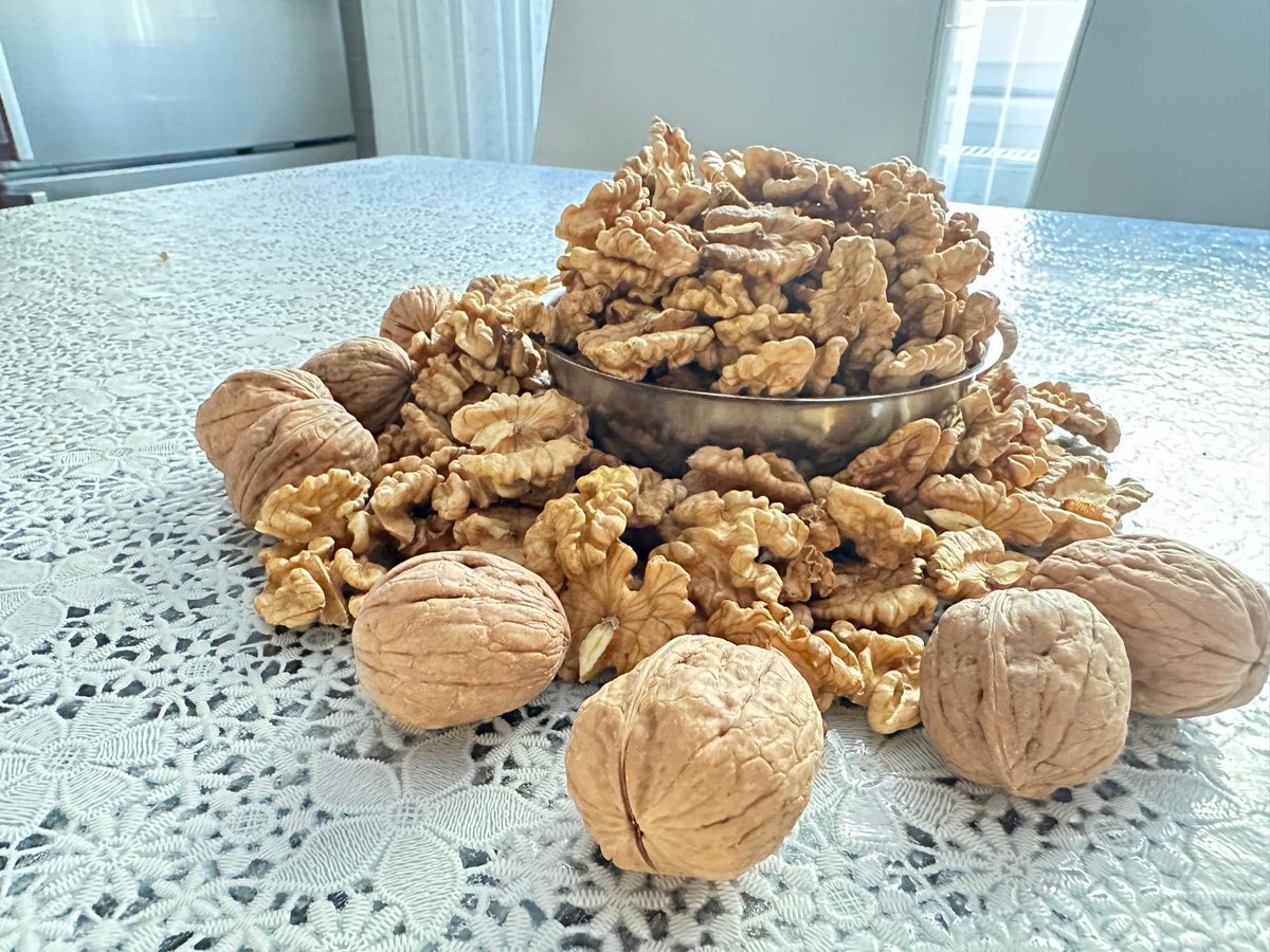 Ege Sofrasıı tweet media