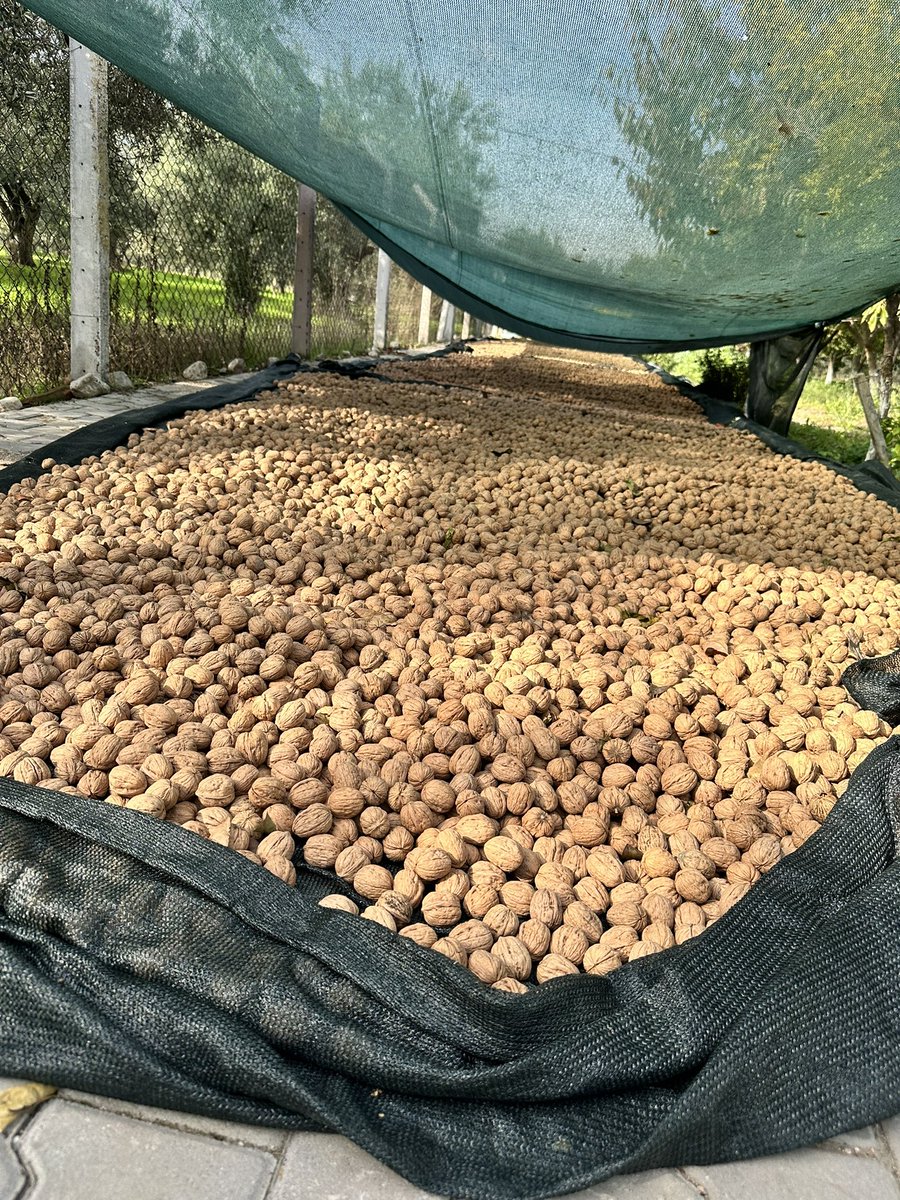 Ege Sofrasıı tweet media