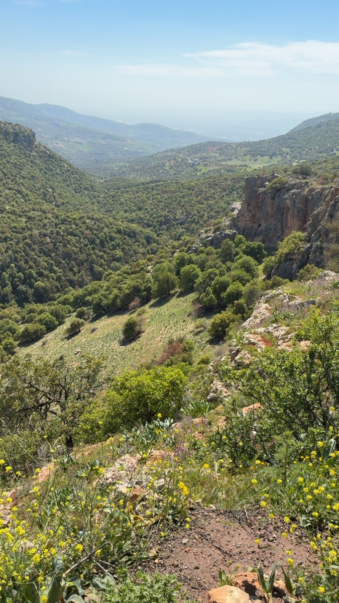 pathetic tweet media