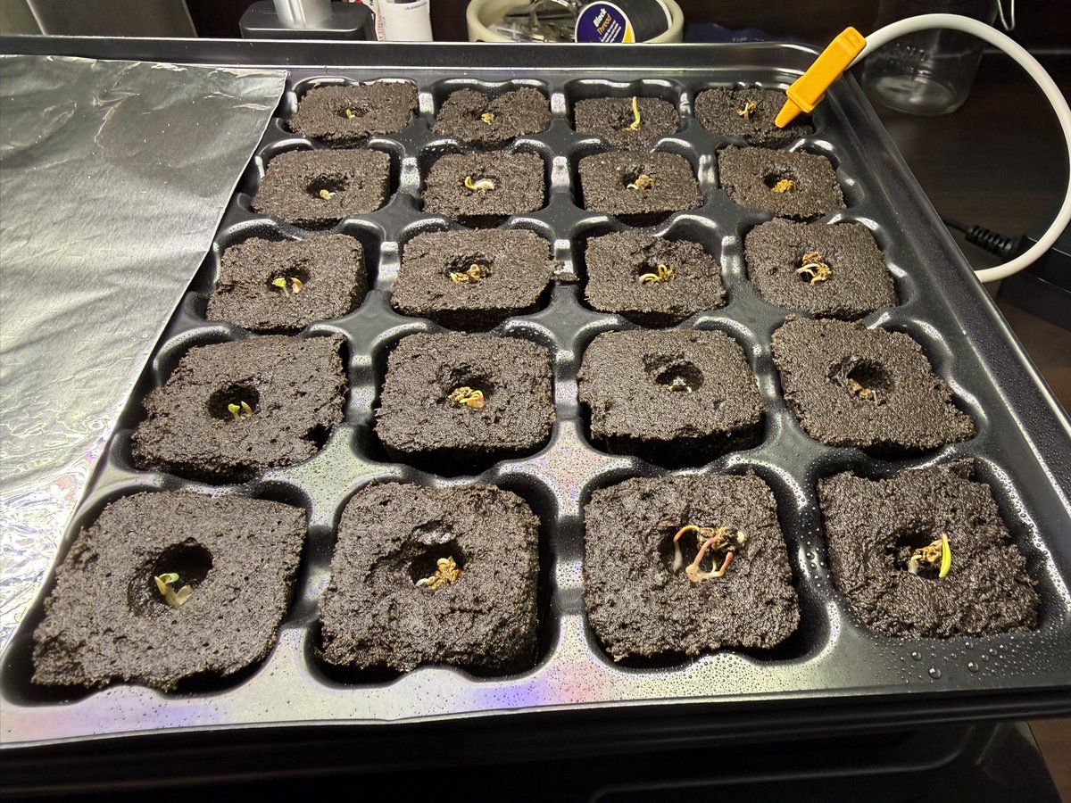 Kev Moore tweet media