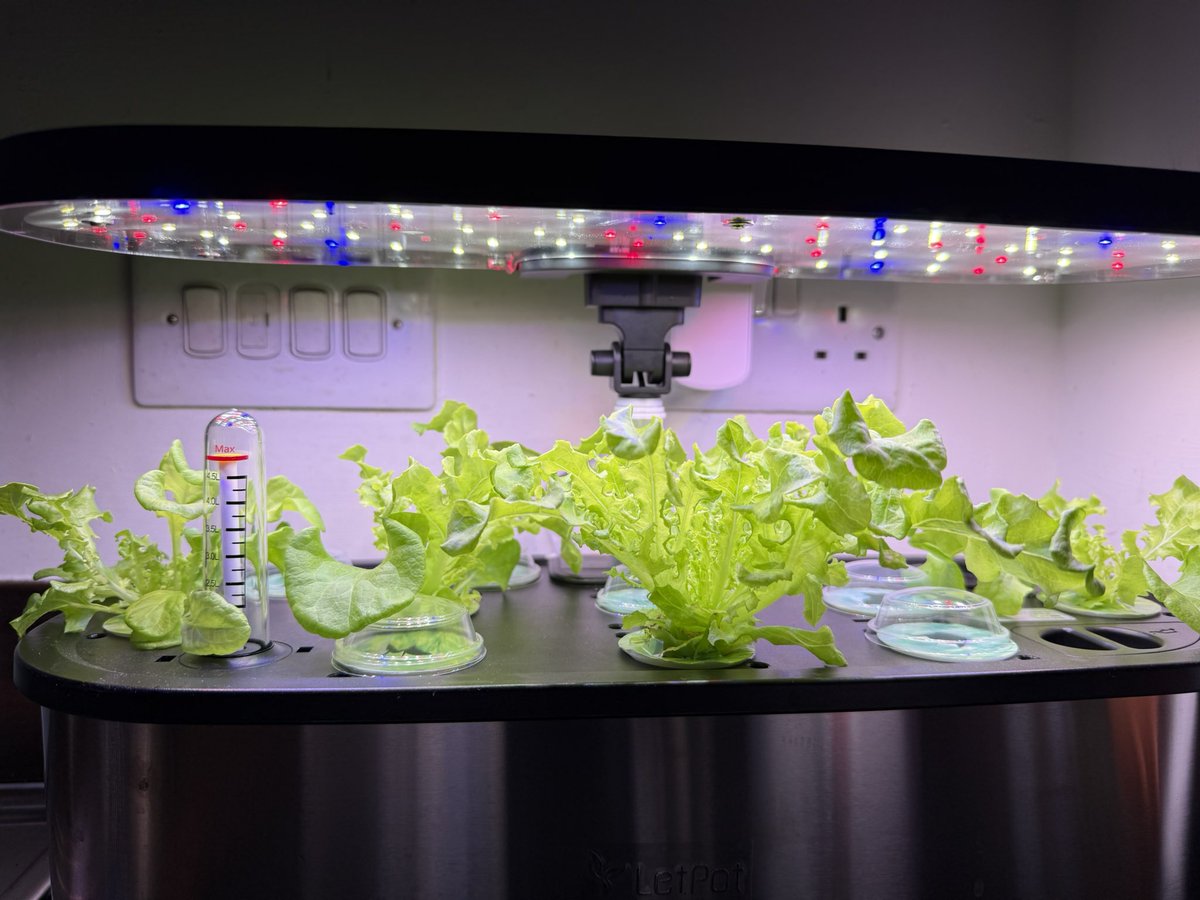 Kev Moore tweet media