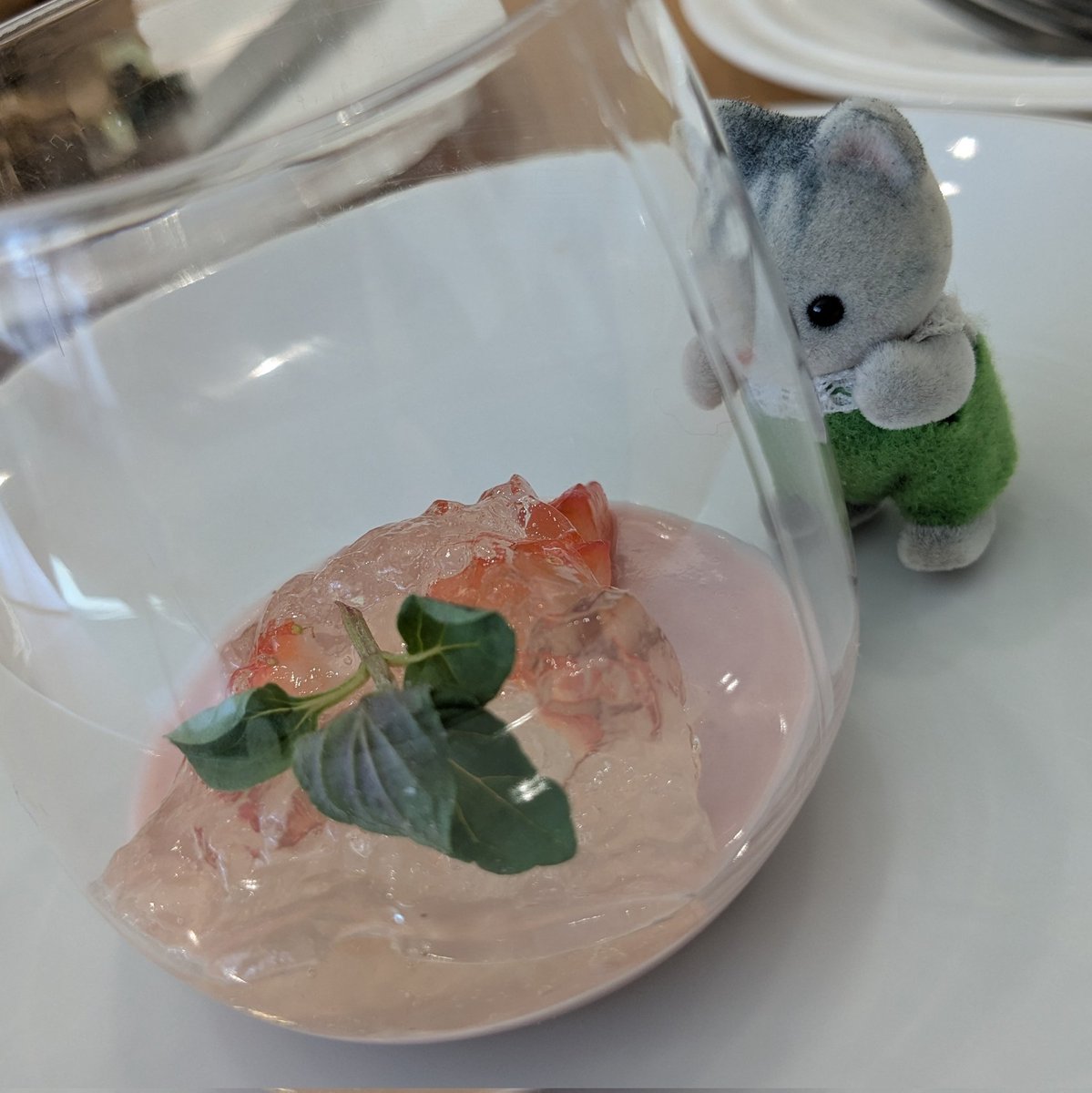 orinet's tweet photo. アフタヌーンティーに行ってきました。あべバニアちゃんも興味津々。
#スノバニア https://t.co/BYHimZhaSZ