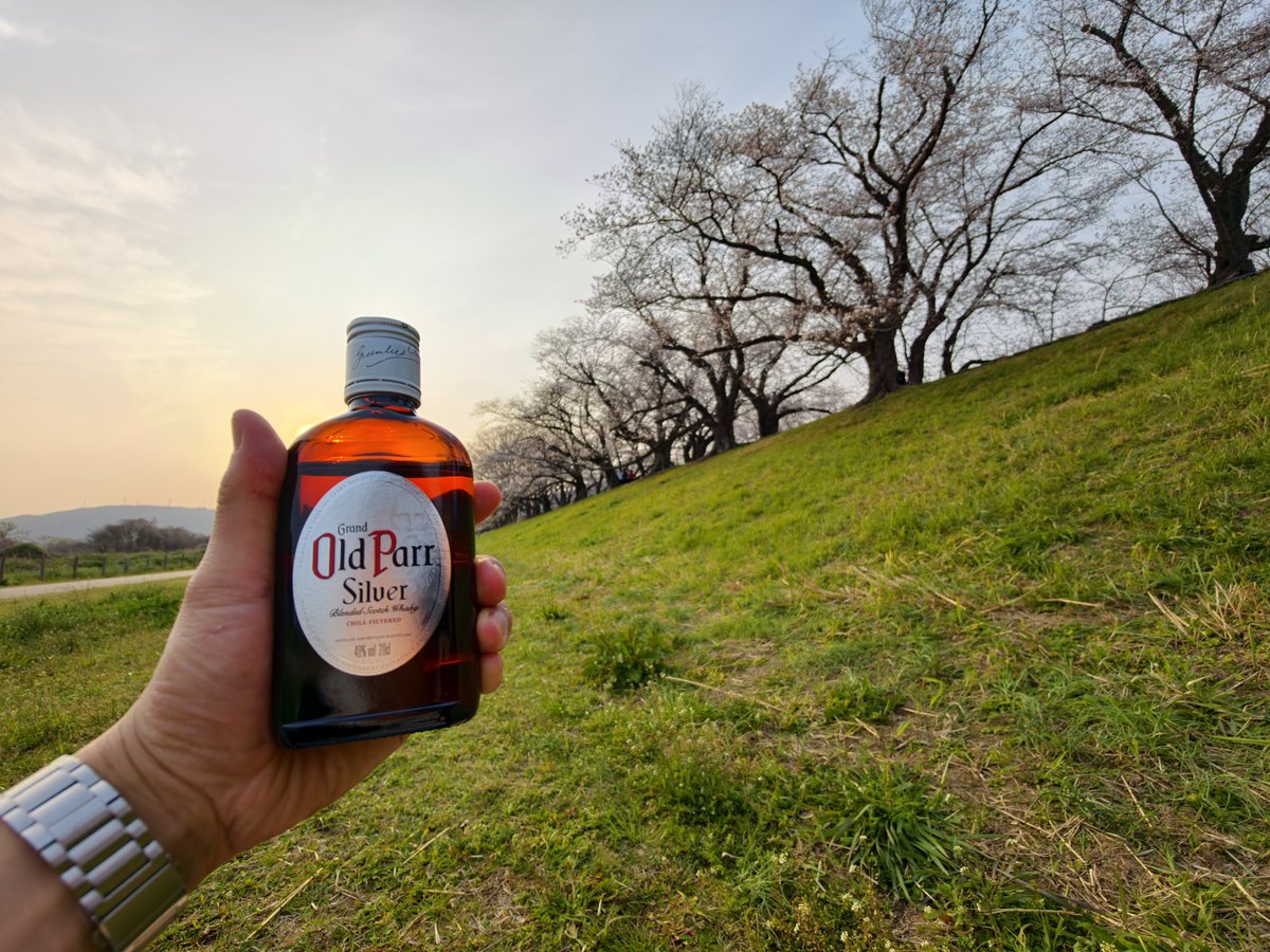 ADC@筋トレ💪酒カス🍻 tweet media