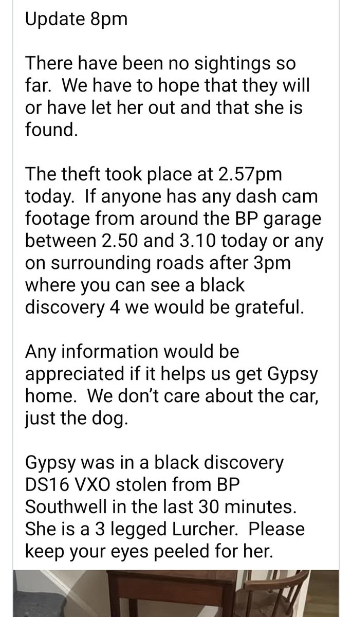 #BePETTHEFTaware tweet media