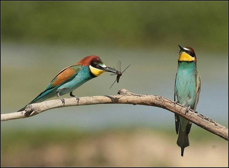 SPERMIFEX tweet media