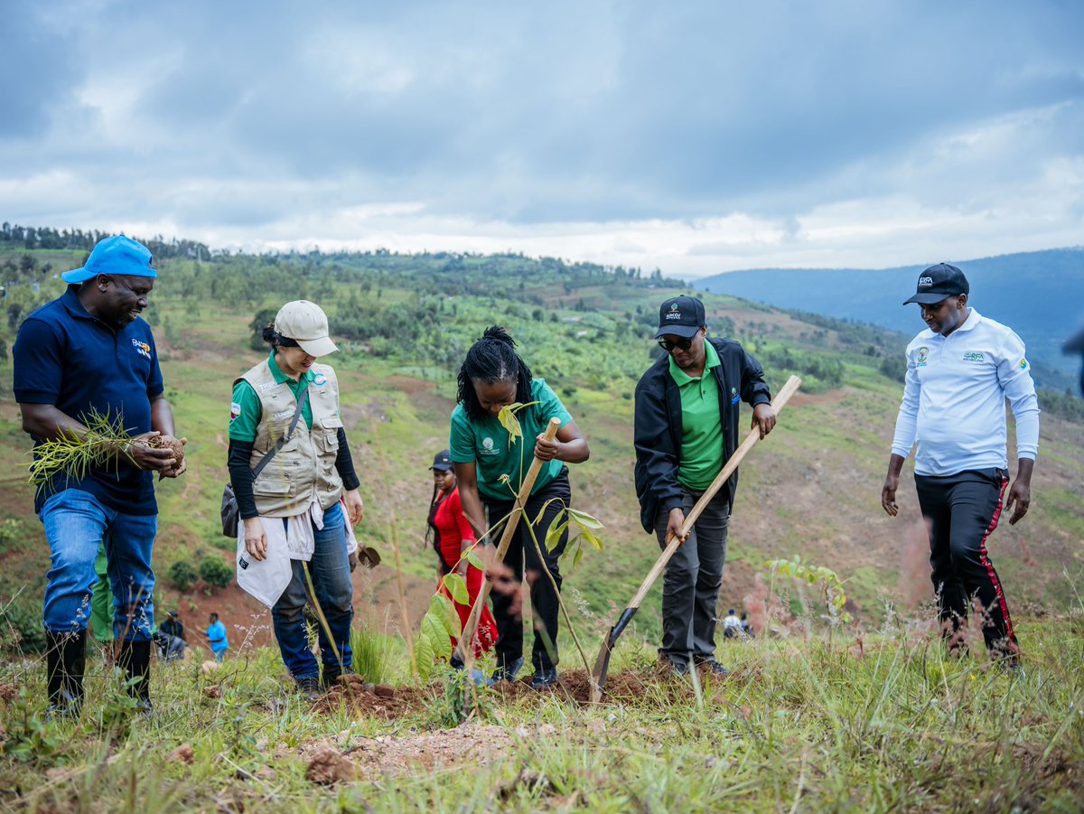 Ministry of Environment - Rwanda tweet media