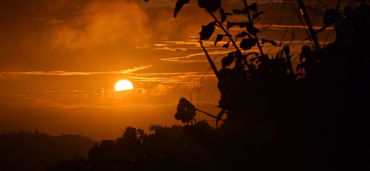 Norma Ortiz Rodriguez tweet media