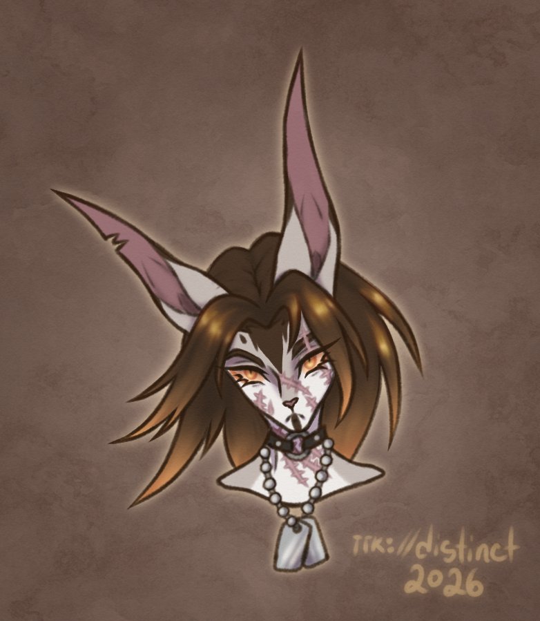 Distinct tweet media