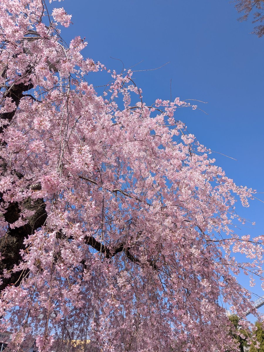 奥原ひとみ tweet media