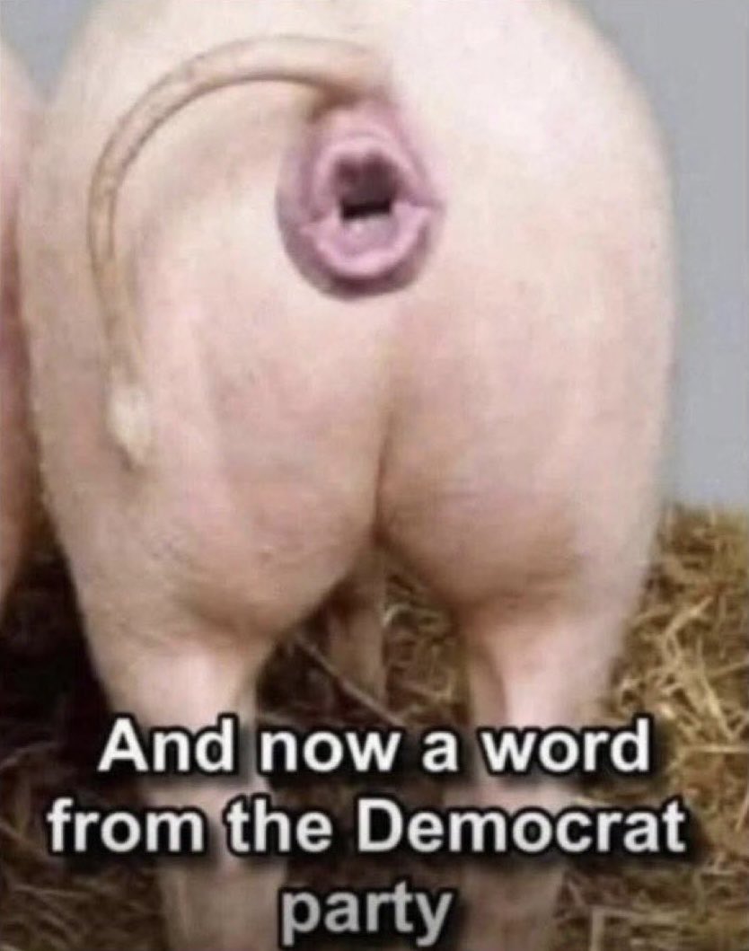 JoeWoe 🇺🇸 🍊 🐊 ☀️ tweet media