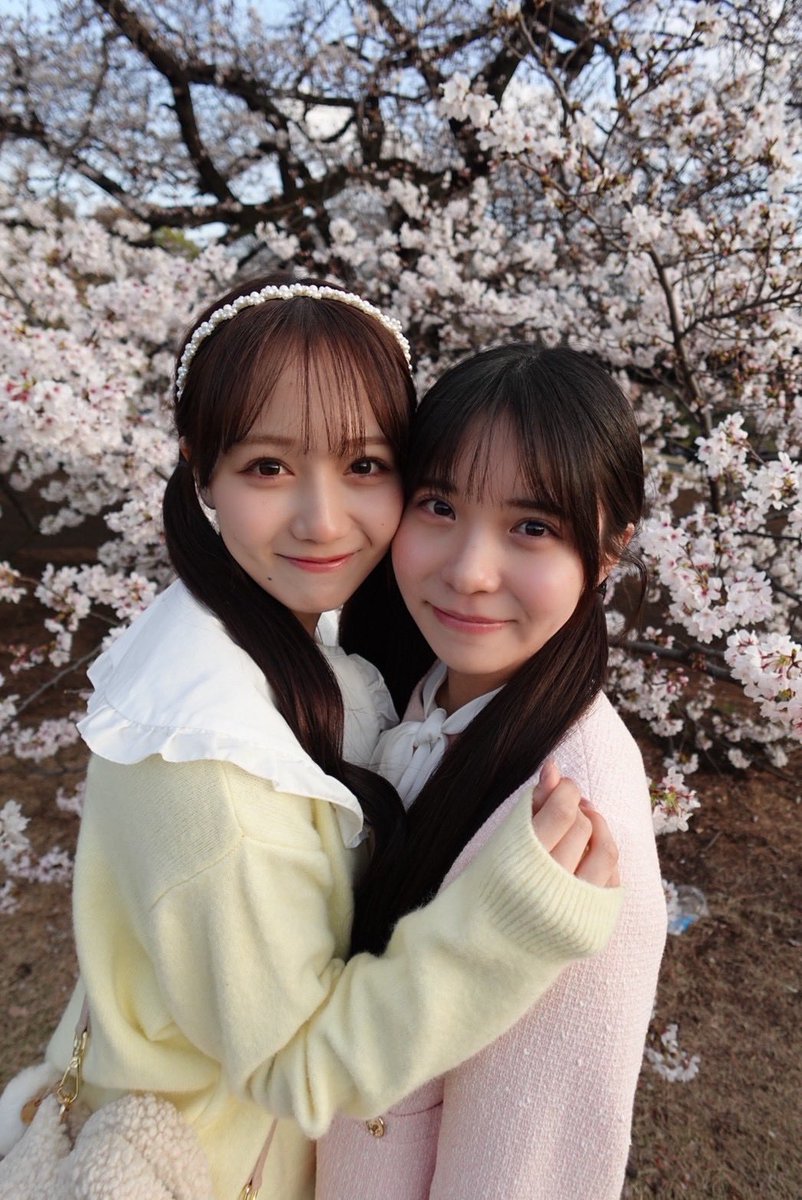 麻丘真央 tweet media