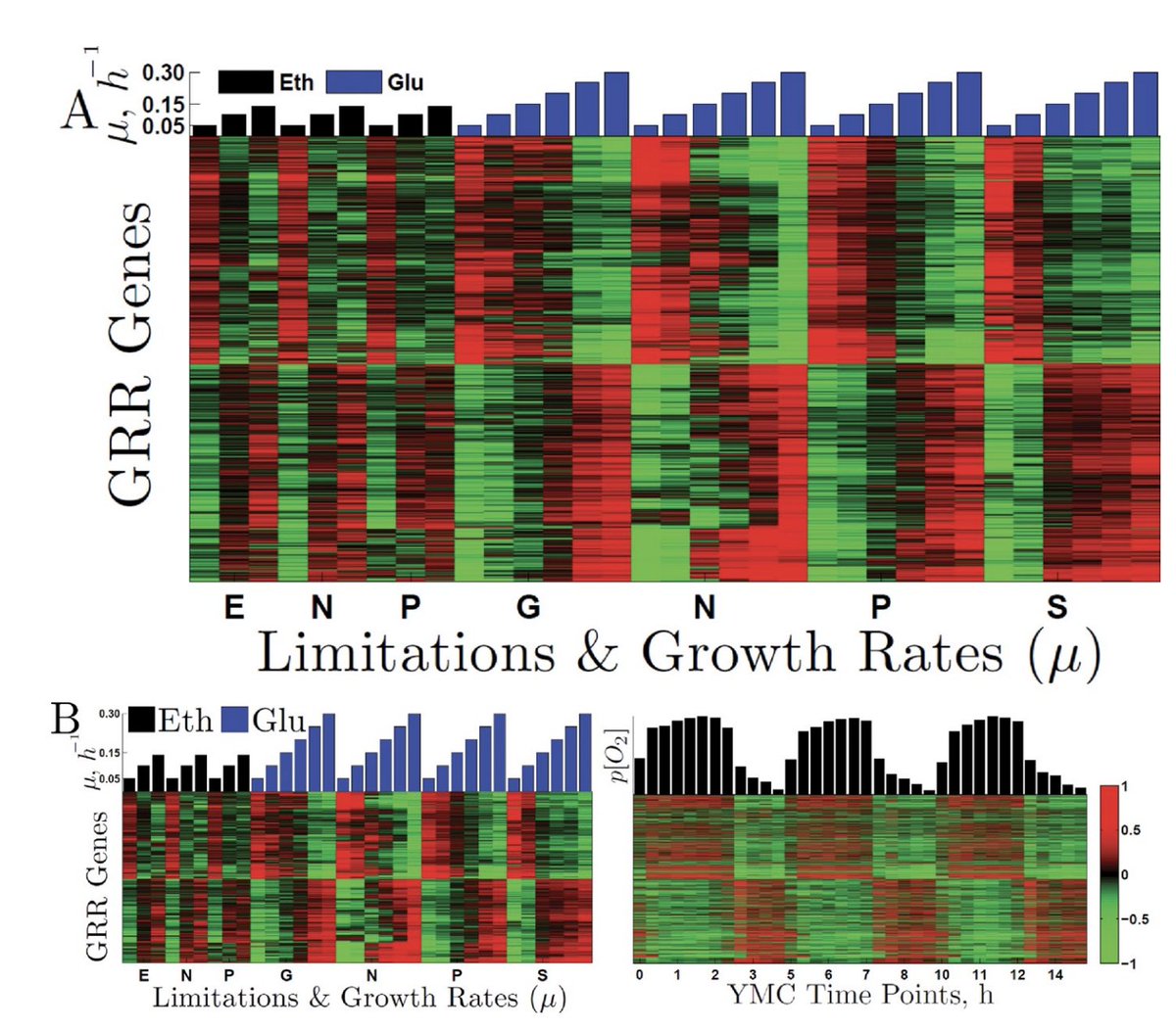 Prof. Nikolai Slavov tweet media