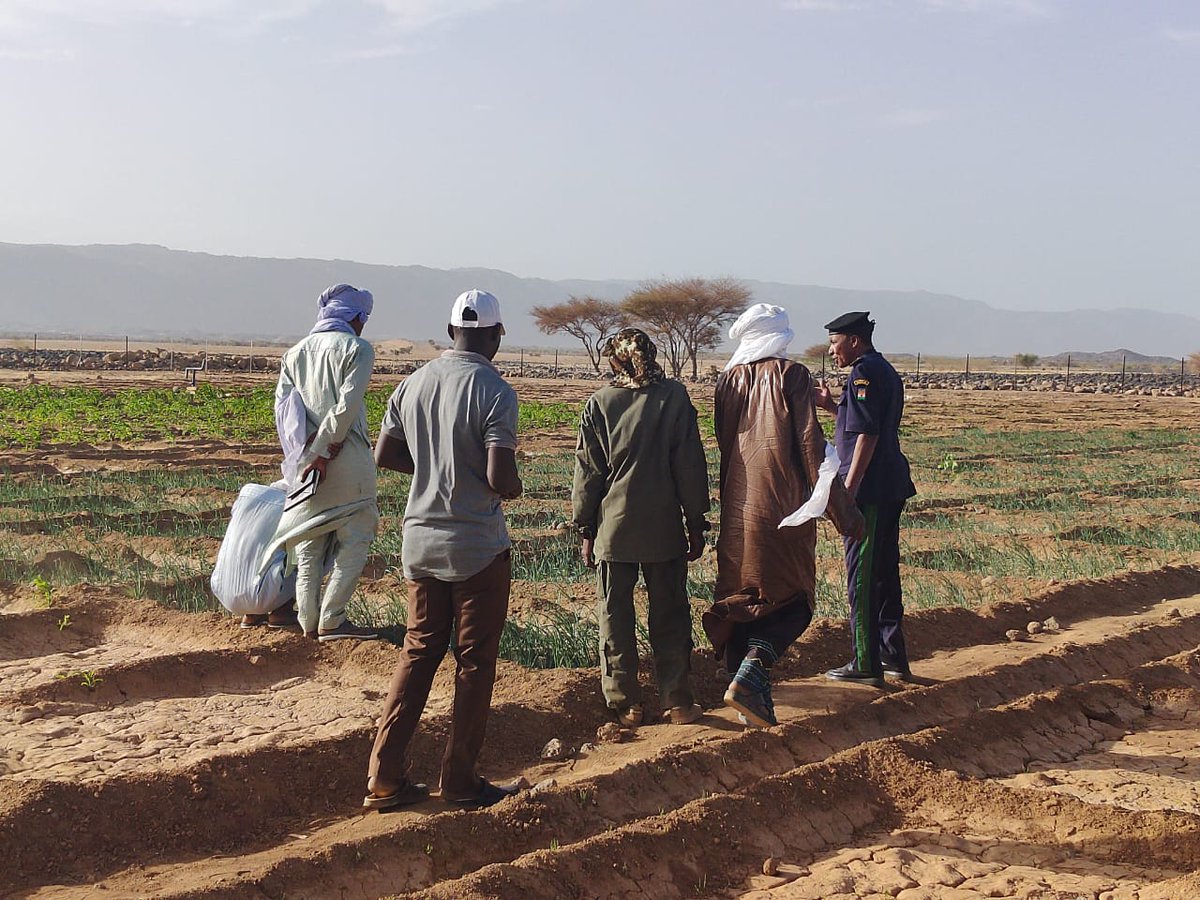 OIM Niger tweet media