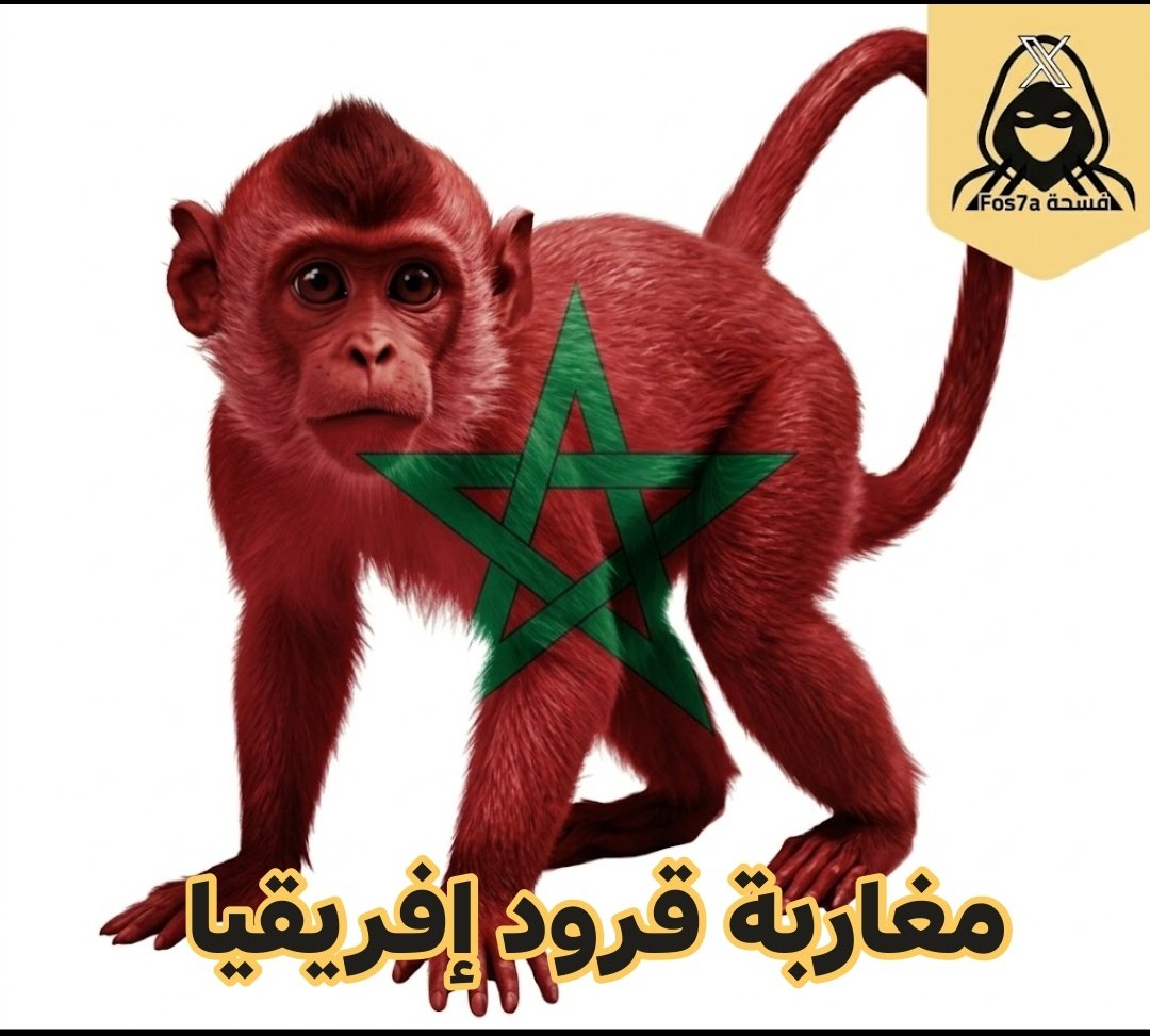 فسحة Fos7a tweet media