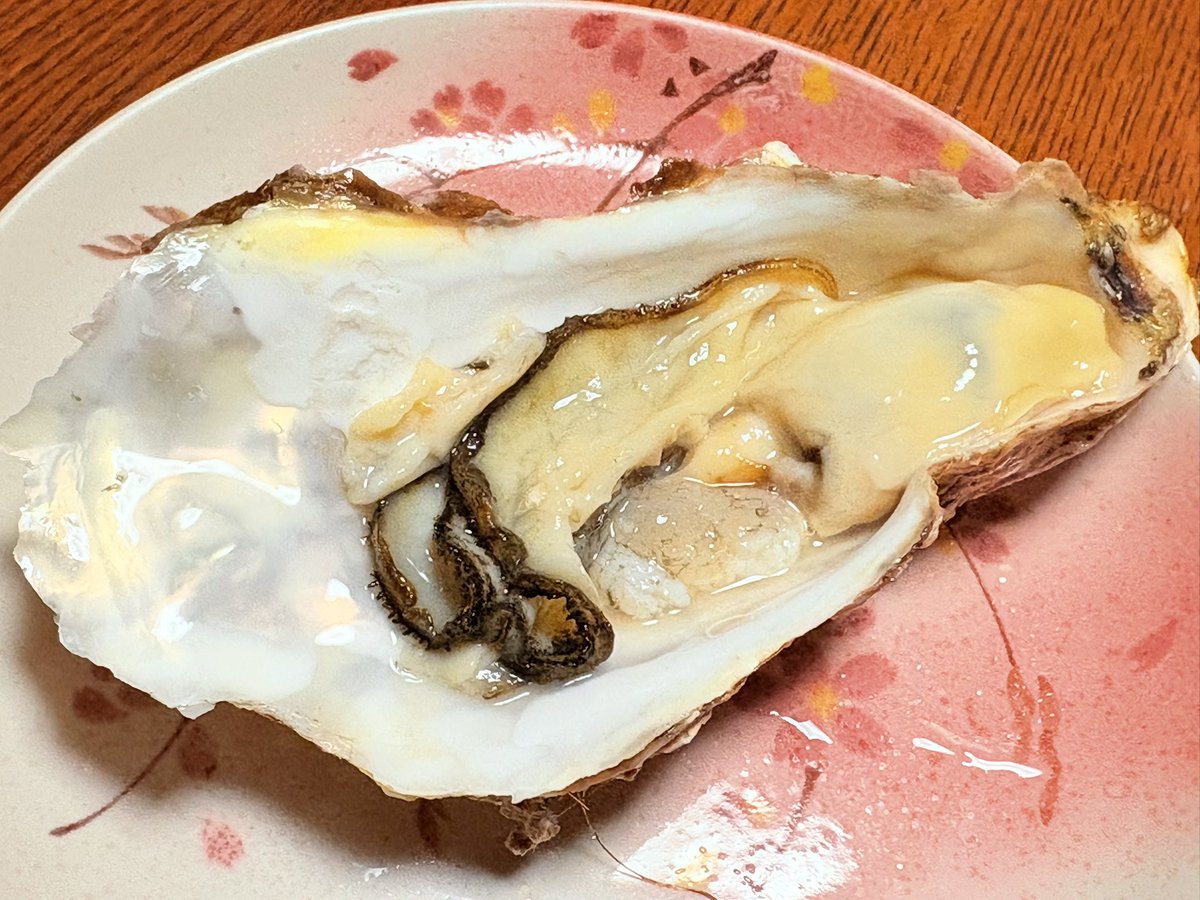 ひりう（飛龍 裕） tweet media