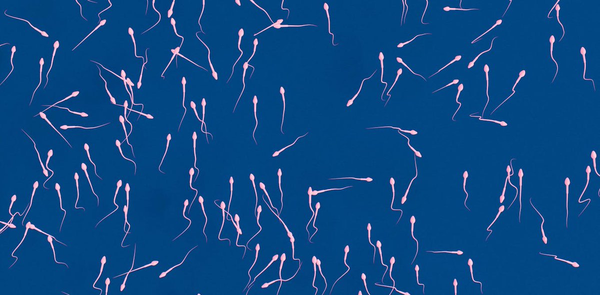 墓碑科技 tweet media