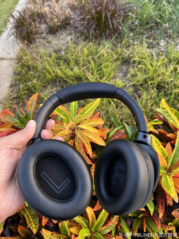 Toya Carey tweet media