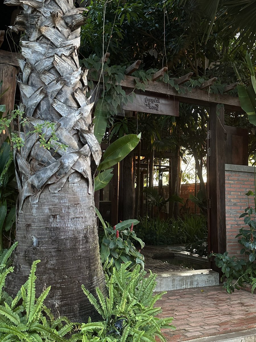 سارا tweet media