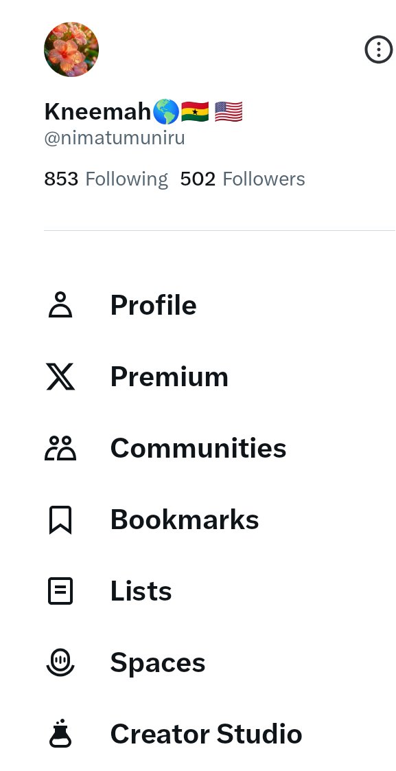 Kneemah🌎🇬🇭 🇺🇸 tweet media