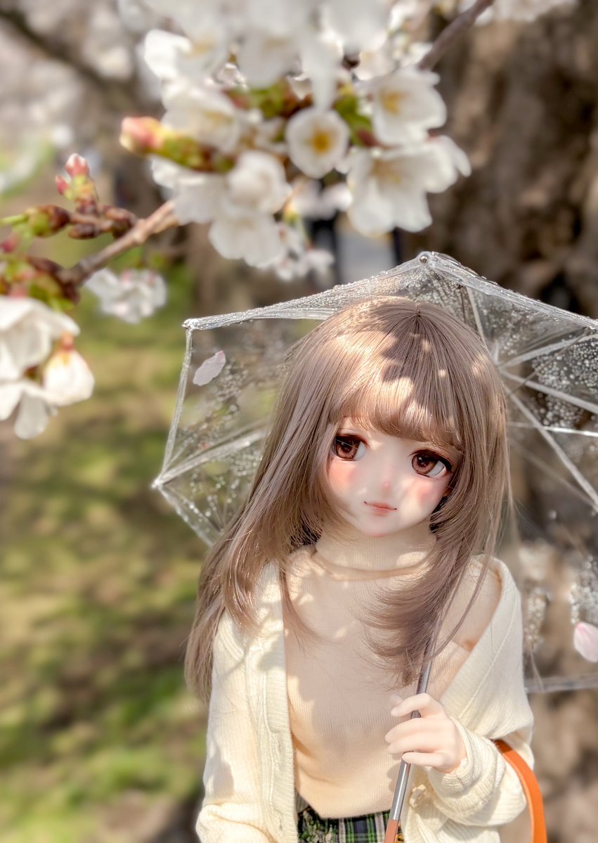 こーなー tweet media