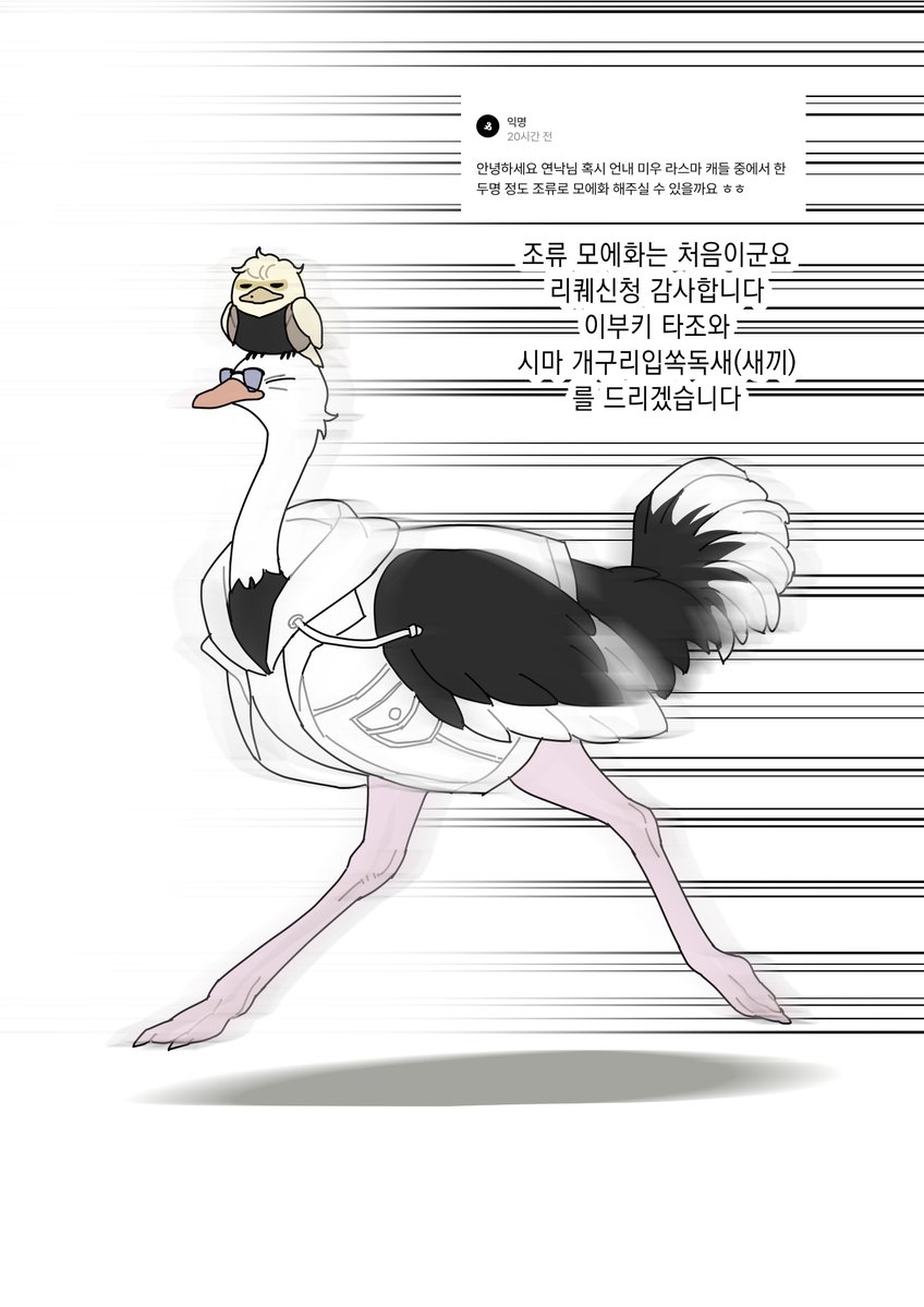 연낙 tweet media