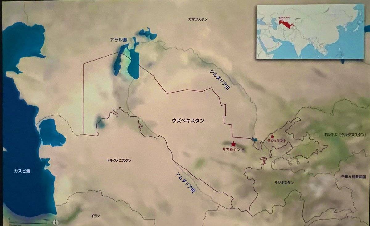 Sou_curator tweet media