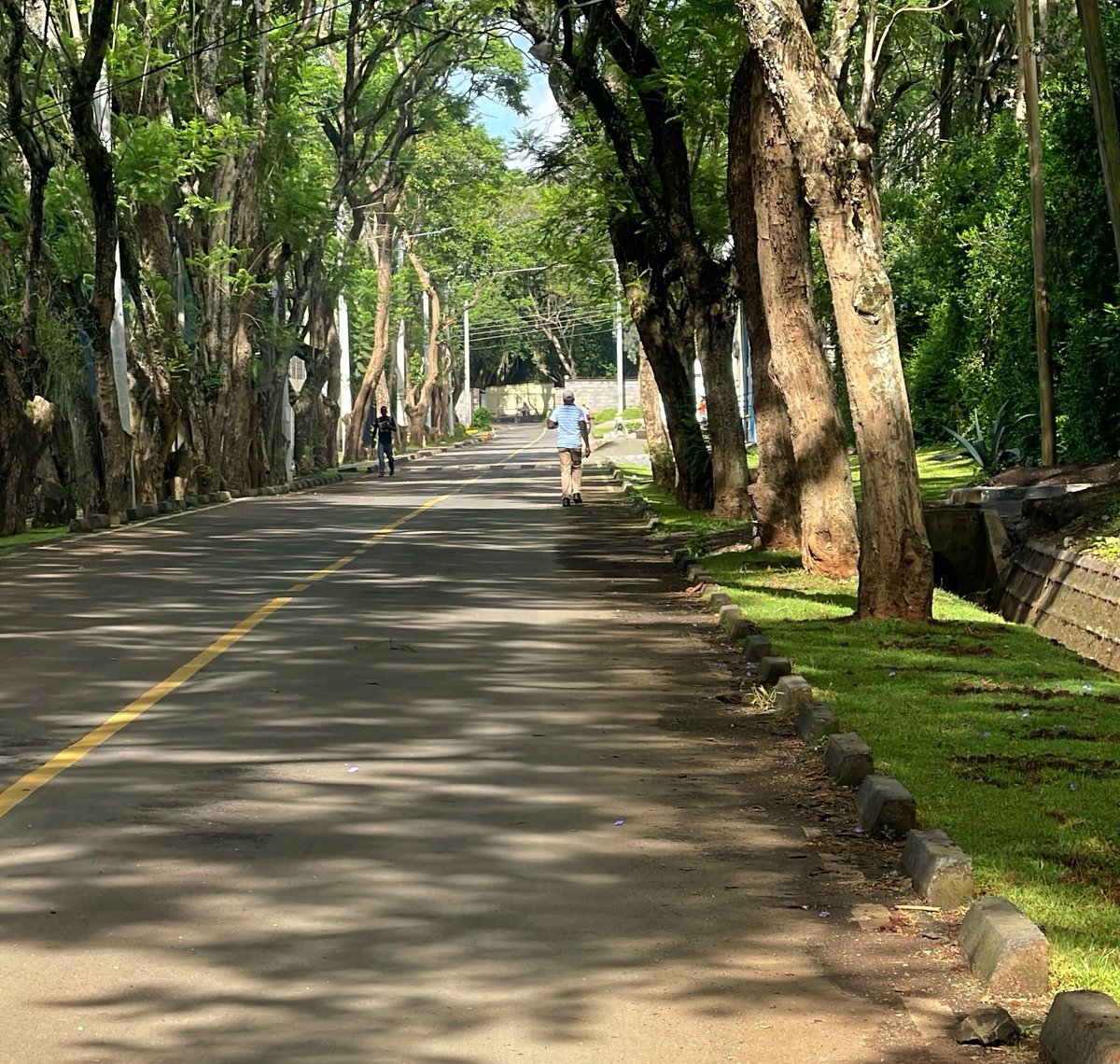 Moseax ✈ 🧳 tweet media