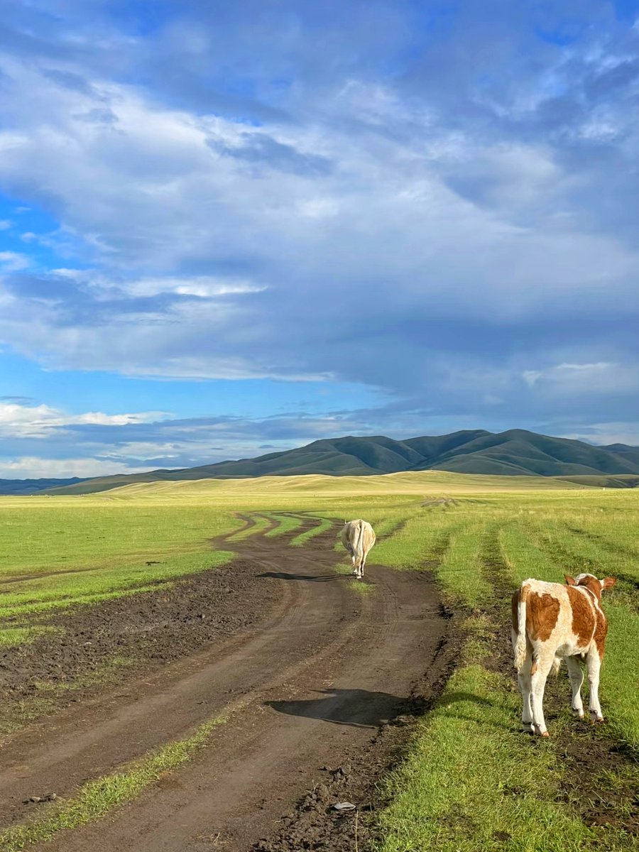 amber smith tweet media